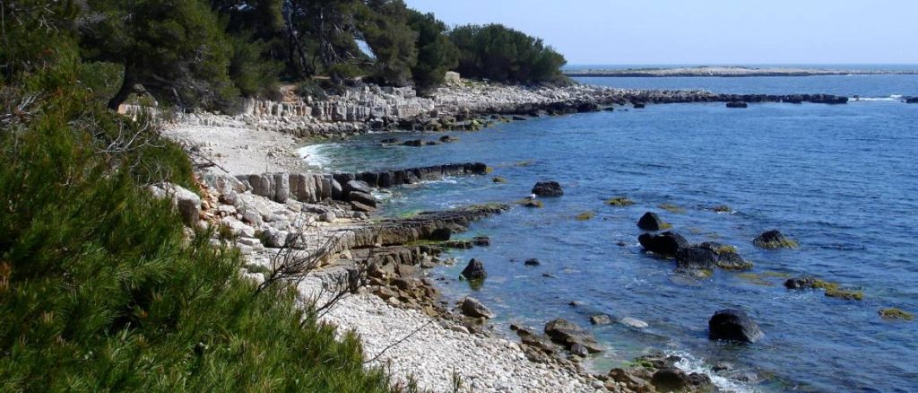Slide dettaglio ler